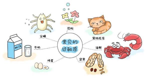 过敏体质自测!9种最该警惕的过敏原就在您身边!! - 知乎