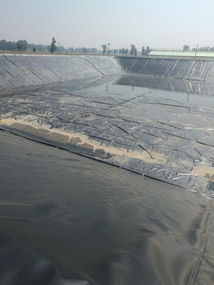 鱼塘防渗土工膜产品特点13210449288