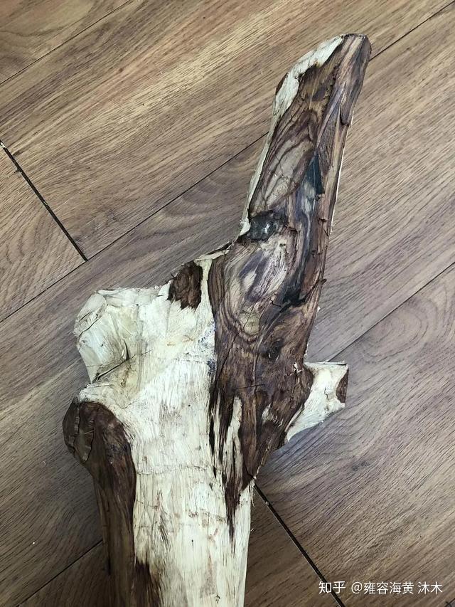 什么是海南黄花梨赌木来说说赌木那些事