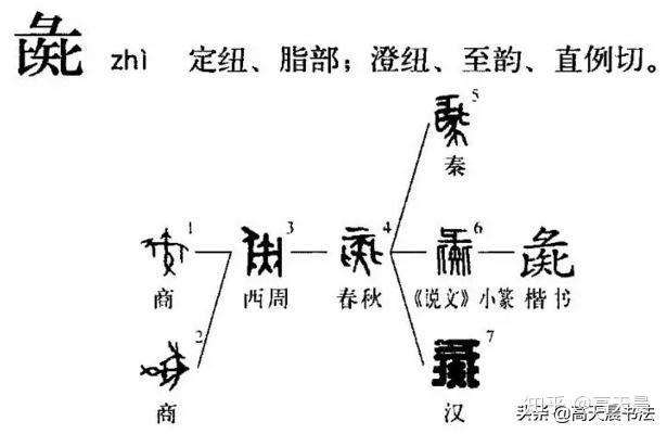 “猪”与“家”的汉字演变与文化内涵 - 知乎