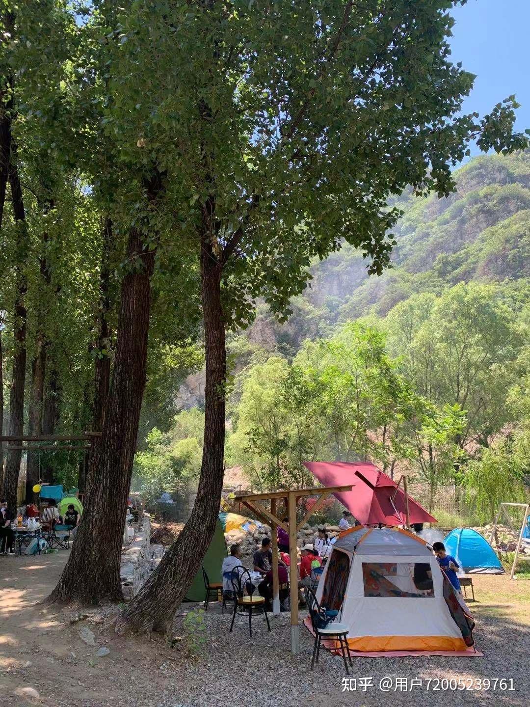 那我们今天就推荐个夏日玩水的好去处仙乡恐龙园