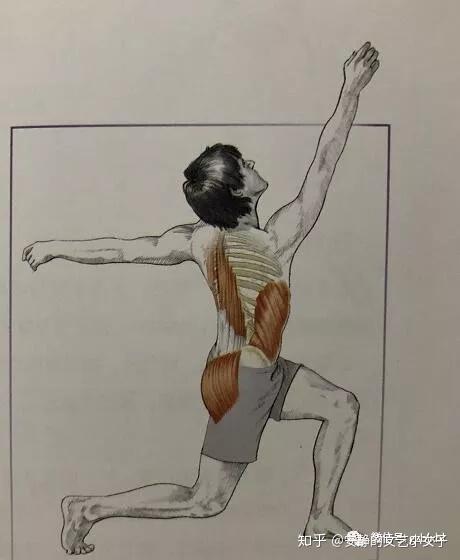 芭蕾舞丨浅谈中立位