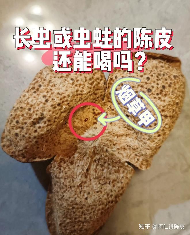那么陈皮为什么会被虫蛀呢,首先大家要知道是有些虫子,常见的一般有