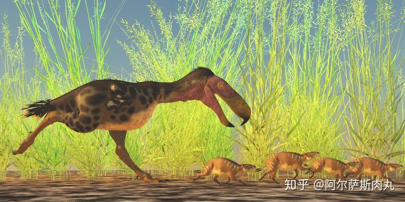 「Prehistoric Park丨史前公园 1」巨鸟奔腾——骇鸟兴衰简史 - 知乎