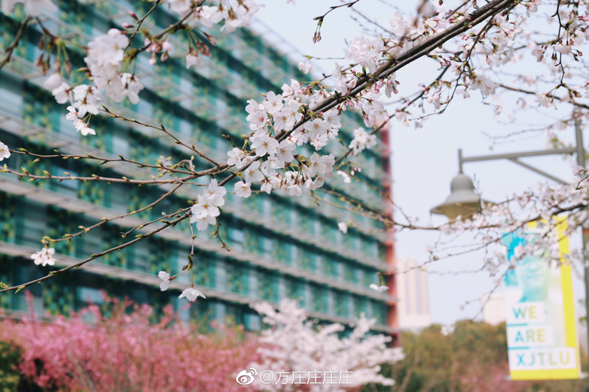 西交利物浦大学怎么样?