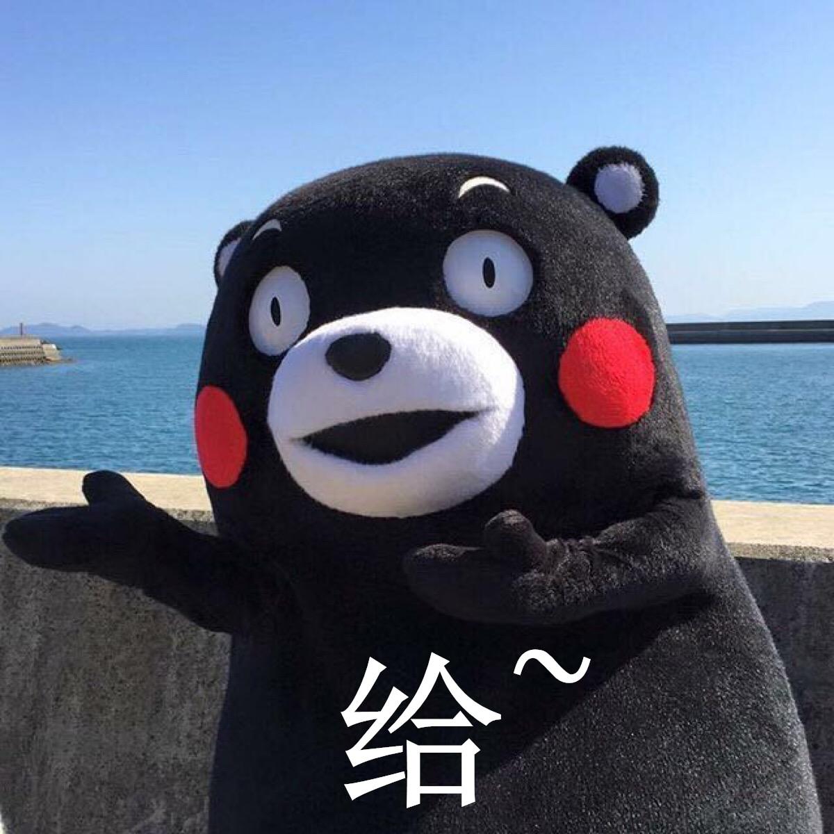 如何准备跨专业考研心理学?