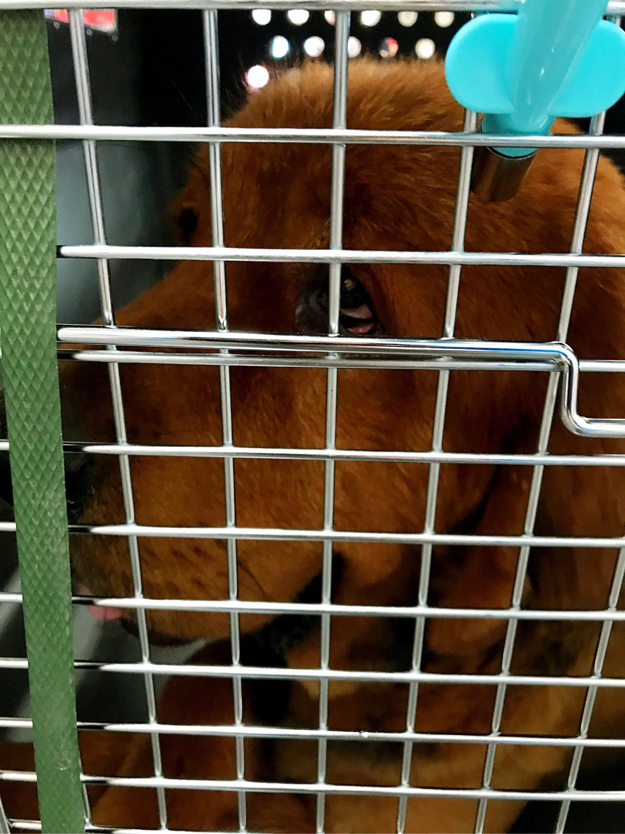 作为航空乘务员,在飞机上遇到过哪些有趣的事