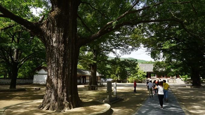 北朝鲜的四天三夜:穿越时间的地平线,告别异乡的“陌路人”