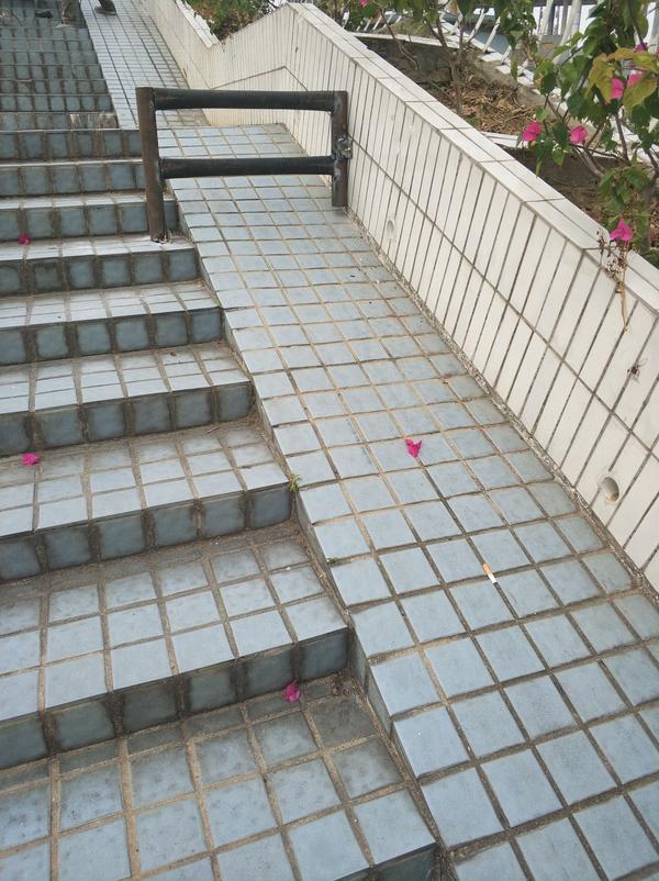 楼梯…… 学校最近为了拦截小商贩推车进来搞了这个东西 每个斜坡都有