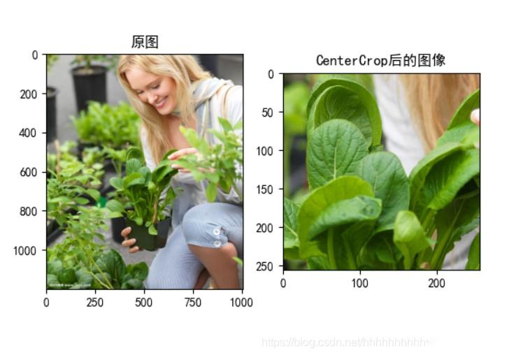图像增强库Albumentations详细使用 - 知乎