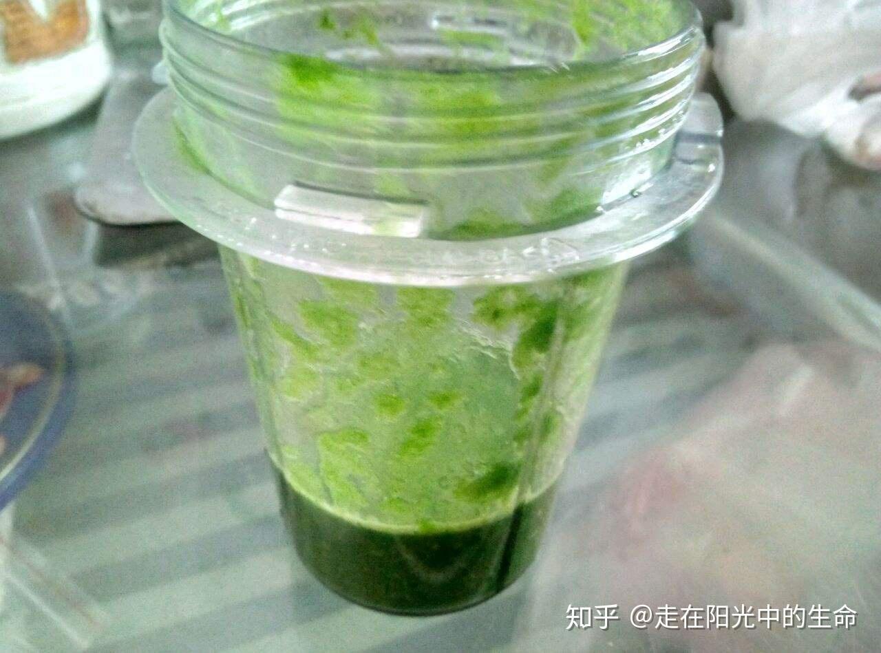 吃韭菜对身体有哪些影响？关于韭菜的作用你知道多少- 知乎