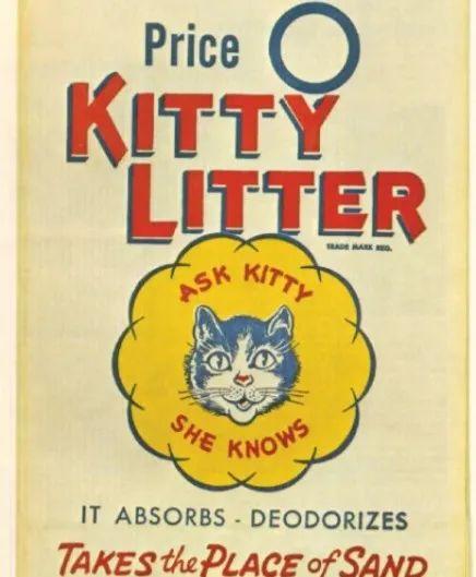 猫砂进化的终点是什么