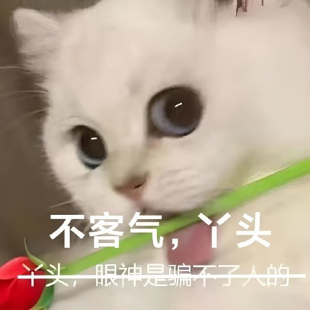 一组可爱的猫咪送花花表情包