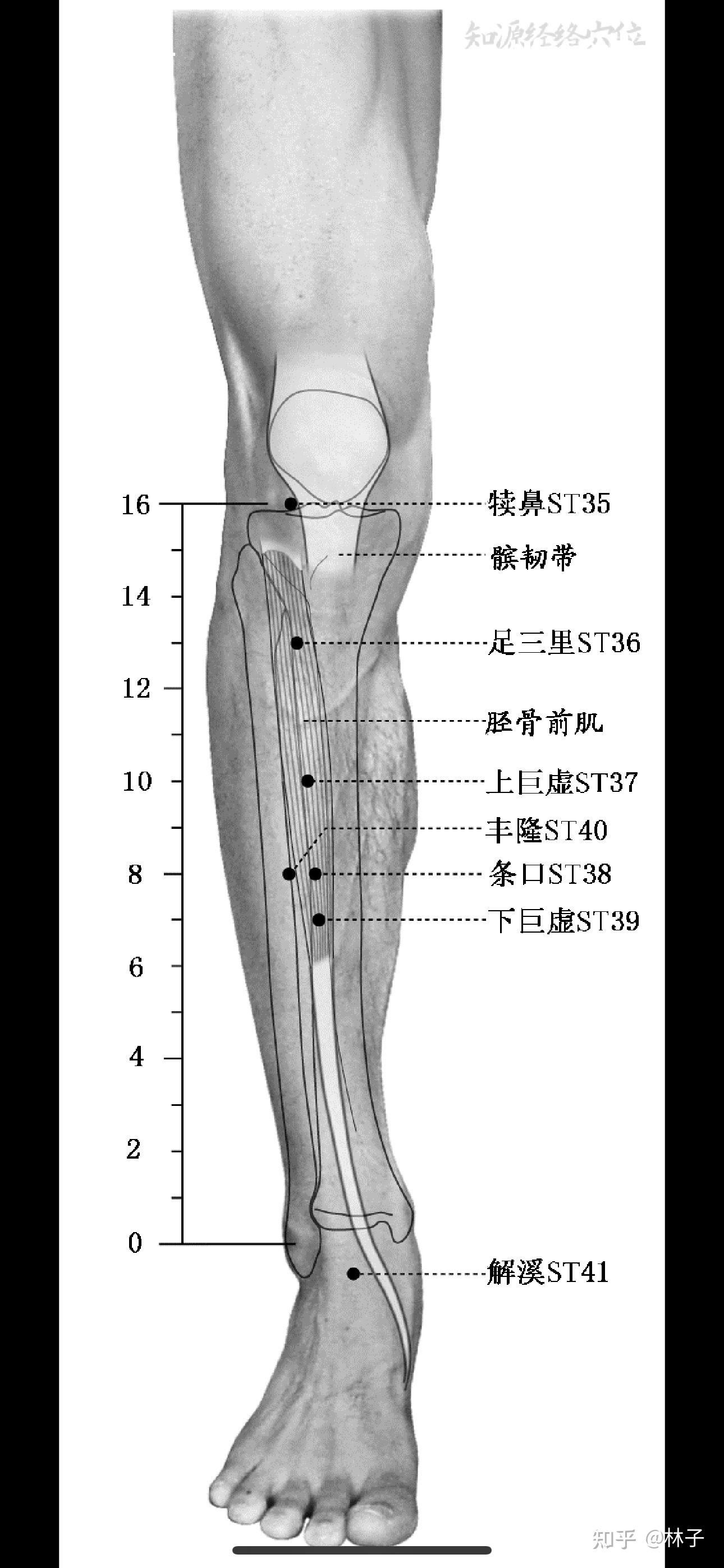 倪海厦人纪,针灸19 - 知乎