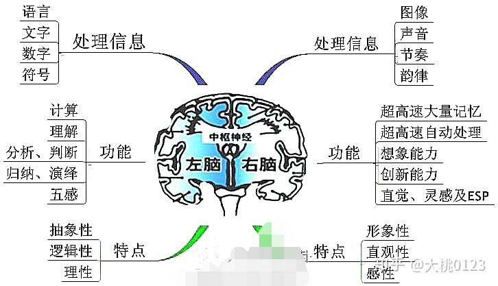 基础心理学学习记录4