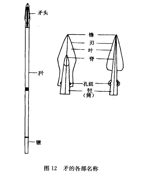 矛的演变过程图片图片