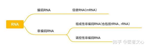 笔记：RNA - 知乎