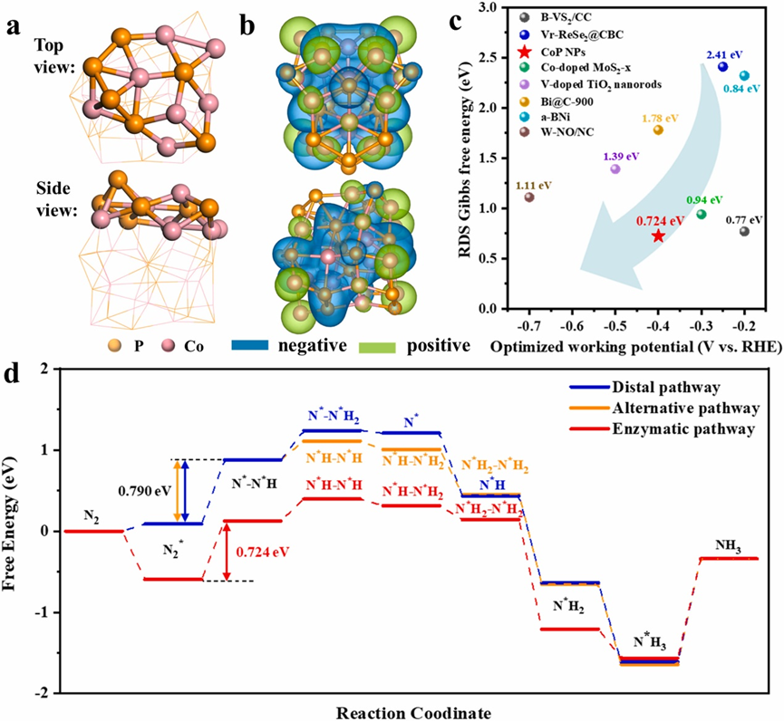 南昌大学与浙大最新合作Applied Catalysis B: Environmental - 知乎