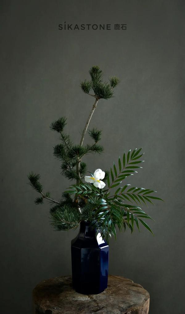 小原流教授证书到底值多少钱 知乎