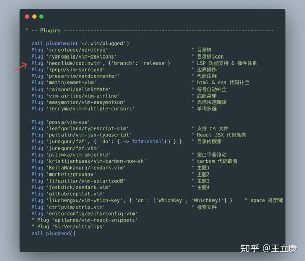  neovim 
