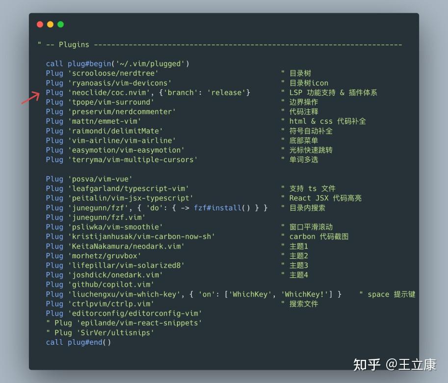  neovim 