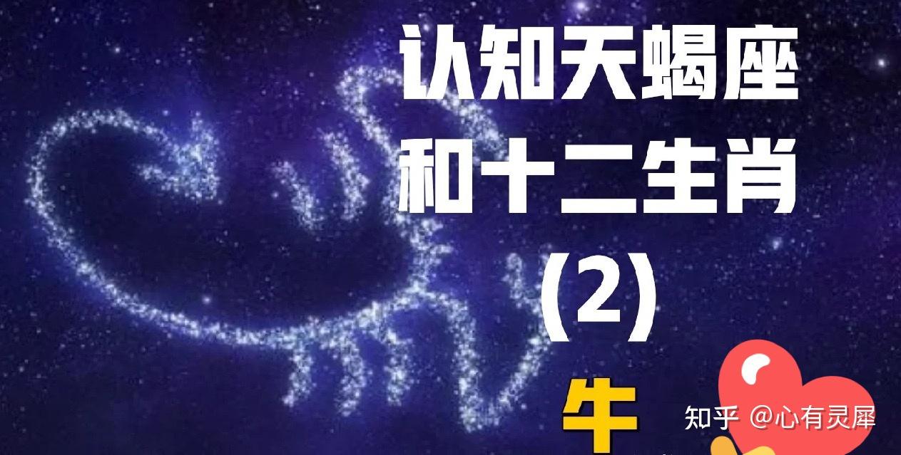 天蝎女属牛今日运势指南