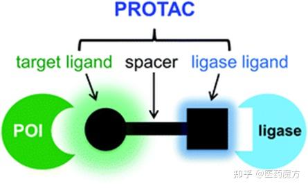 PROTAC偶联热潮来袭！一文读懂DAC设计要点、代表性案例 - 知乎