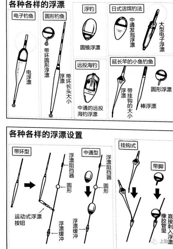 开春第一竿老司机全方位教你如何玩转矶钓