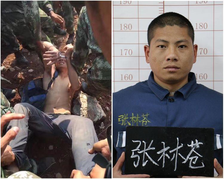 张林苍越狱案即将开庭凌云律师将出席法庭为张林苍辩护