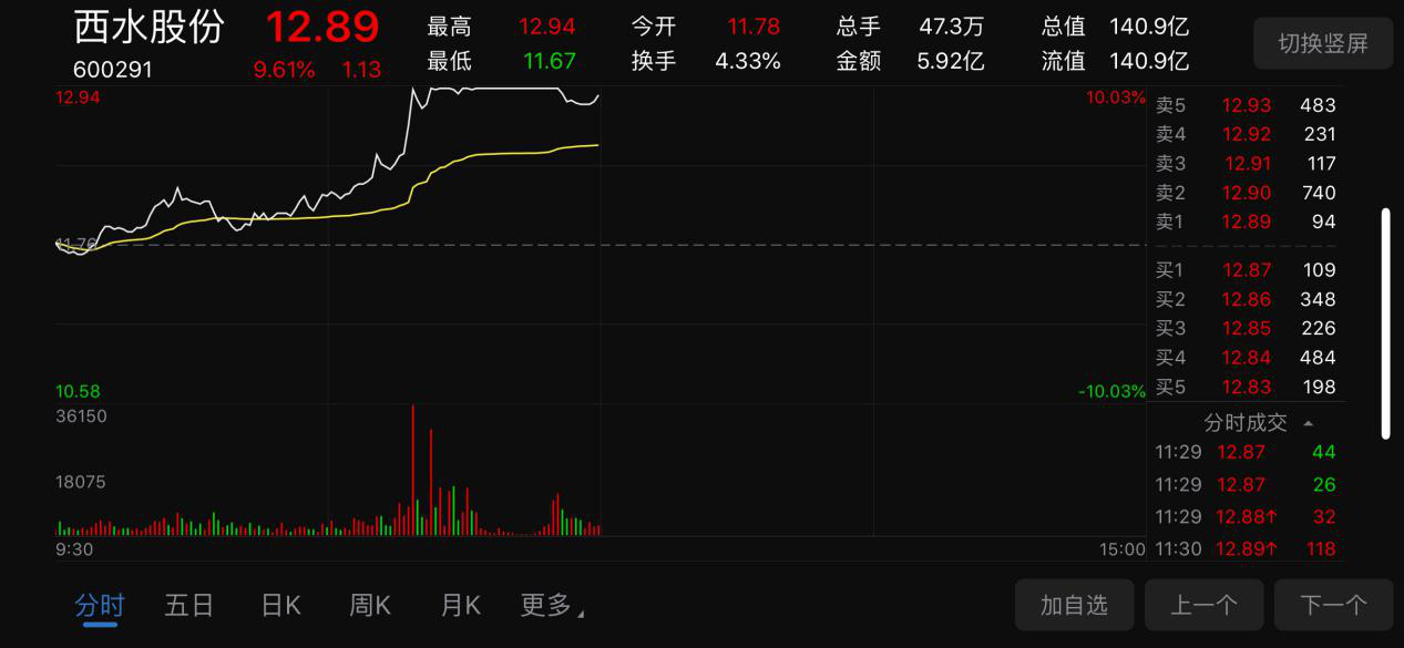 中國人保西水股份雙雙觸及漲停人保成交額逾8億