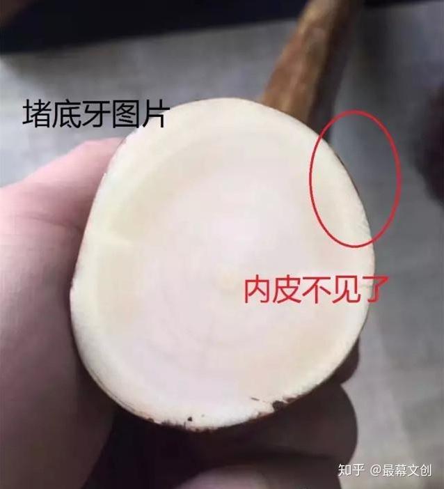 象牙的横截面纹理图片