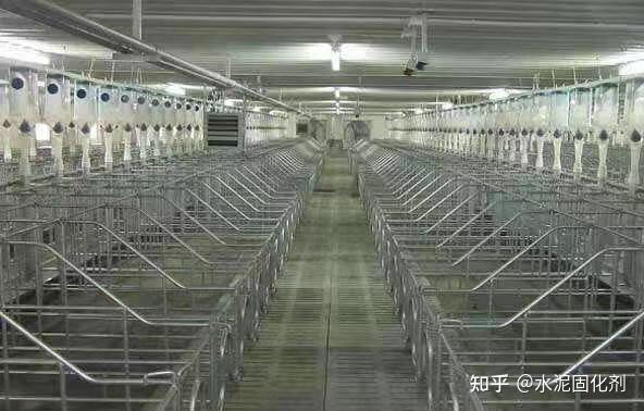 养猪场猪舍地面主要承受猪只的压力,以及高压水枪冲洗的压力,这就要求地面要有一定的强度 知乎