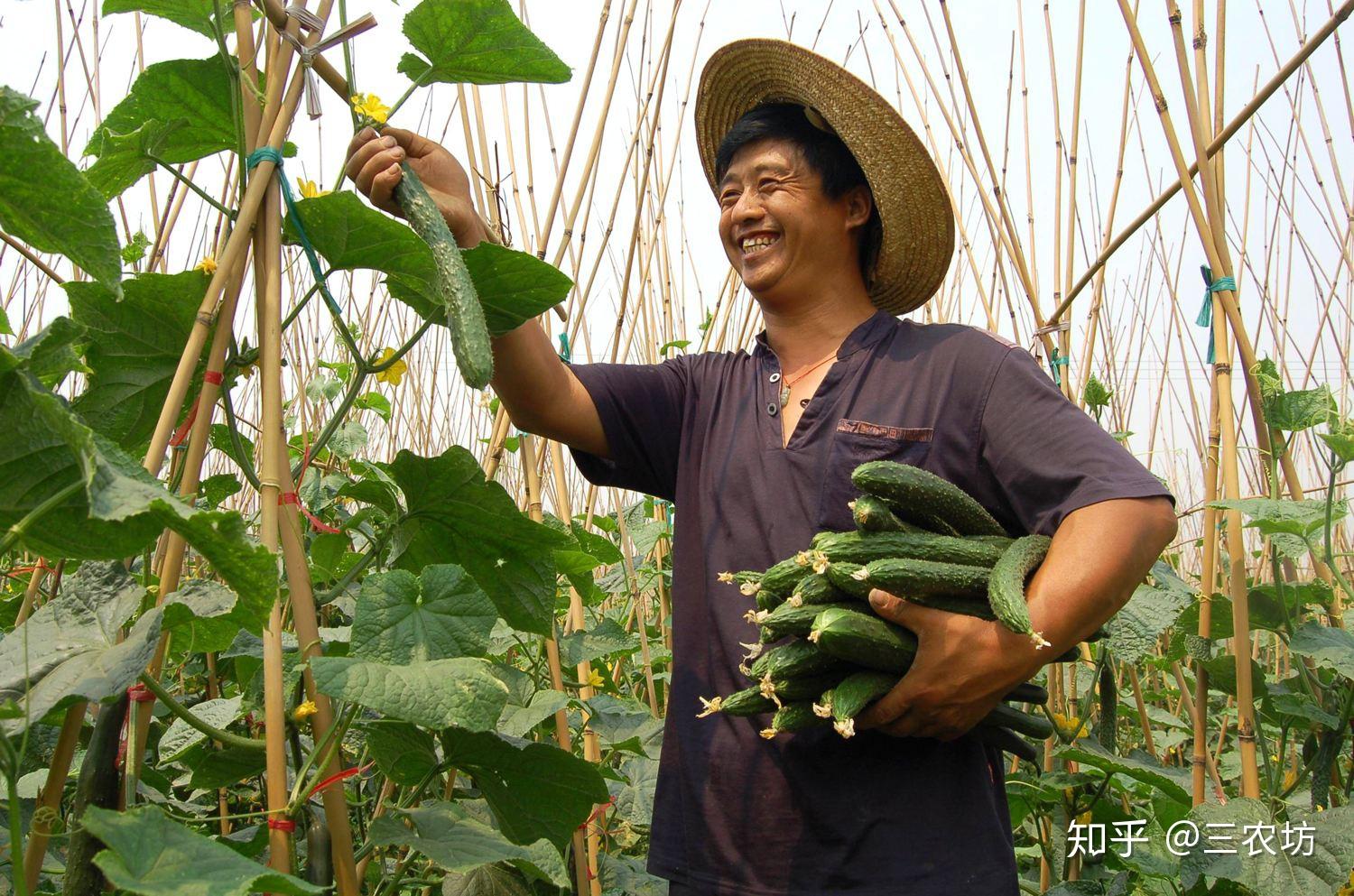 5年后的农村盖楼买车都很寻常这3样才难得有农民至今没看透