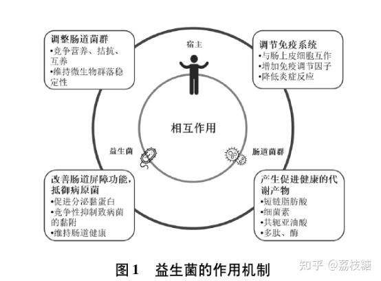 微生物与环境因素相互作用对疾病影响洞察分析