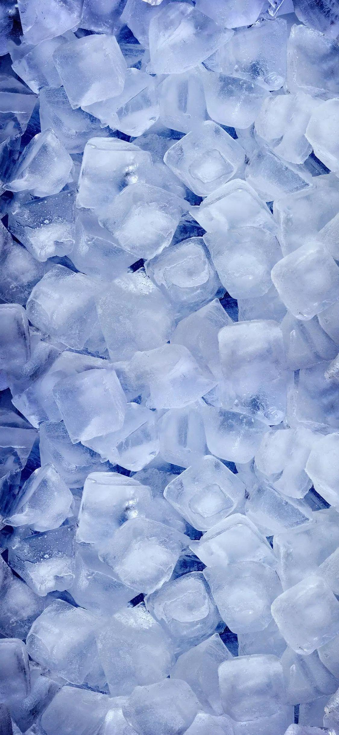 有没有那种冷色调的很惊艳的有红玫瑰的壁纸