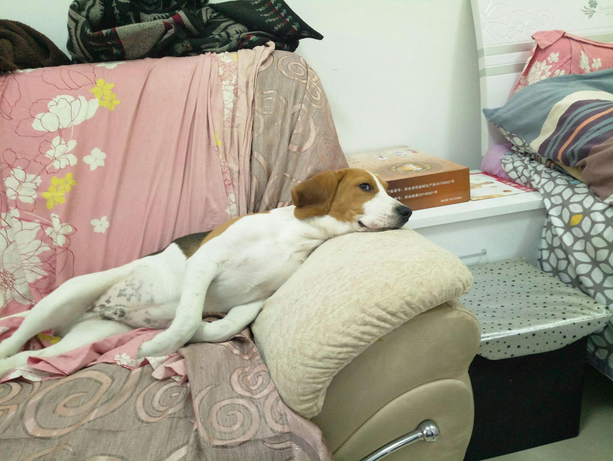 传统手牌术是如何消失的?