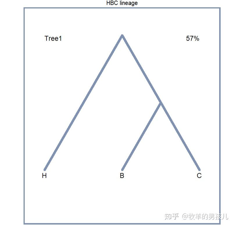 跟着Nature Genetics学作图：R语言ggplot2画图展示基因树的拓扑结构冲突 - 知乎