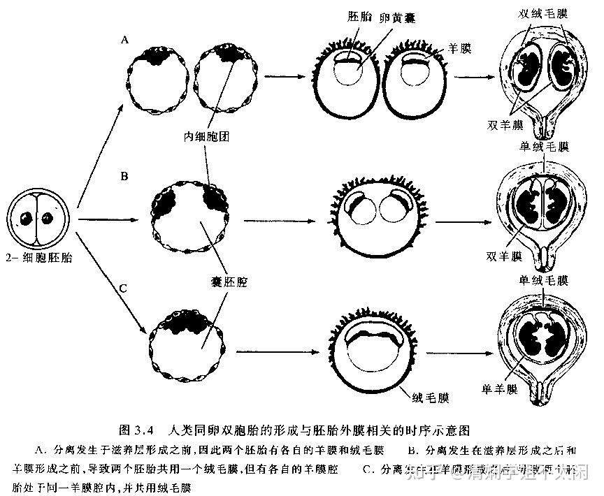 发育生物学[期末考点一笑而过版】 - 知乎