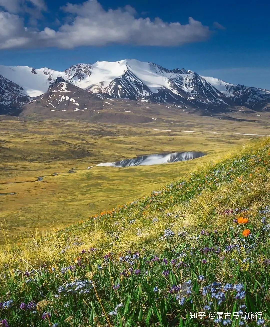 梦里的交响曲 - 知乎