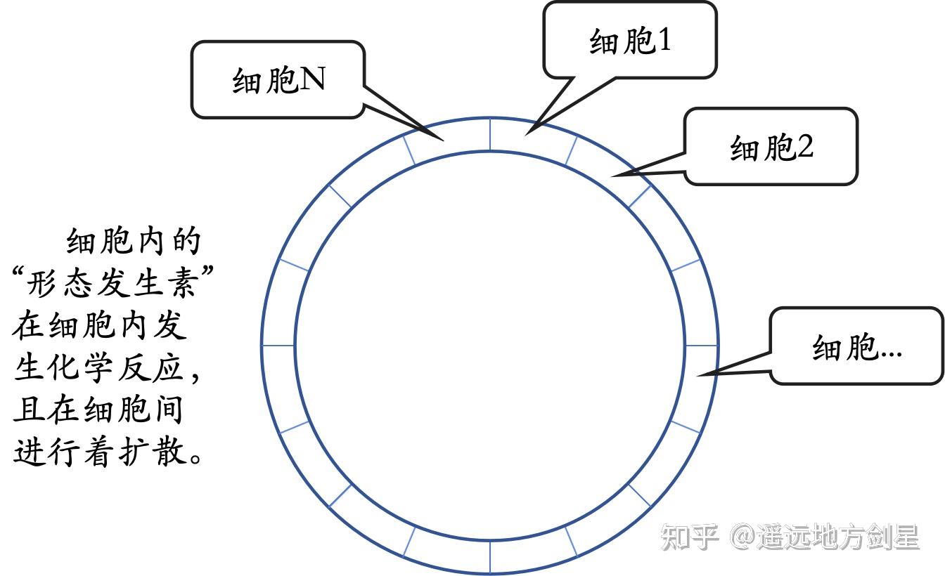 一切复杂都来源于简单的叠加（5）图灵模式——Turing Pattern - 知乎
