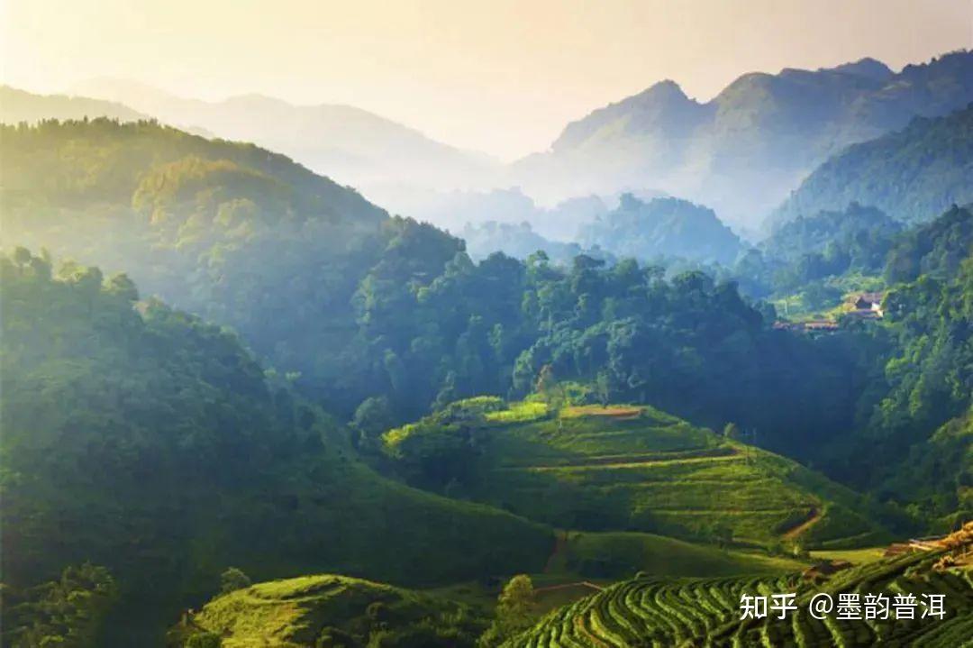 金庸笔下的琅嬛福地,普洱茶中的武侠世界——无量山 - 知乎