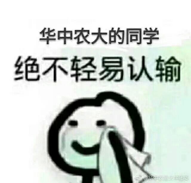 动物医学考研,基础、临床、预防,哪个前景好一