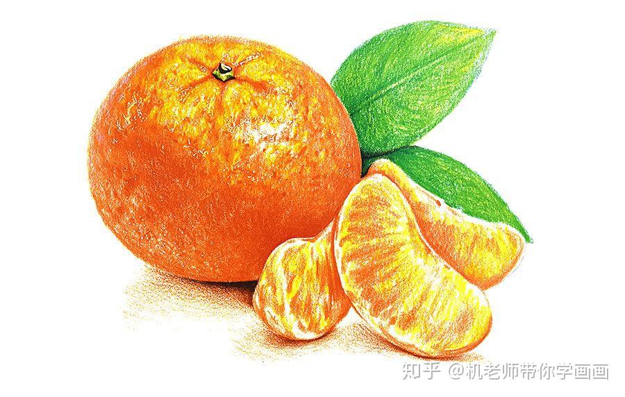 绘画教程/水溶性彩铅画橘子 - 知乎