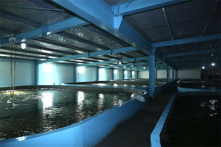 飞龙农业温控春季气温起伏不定对淡水生产养殖的影响