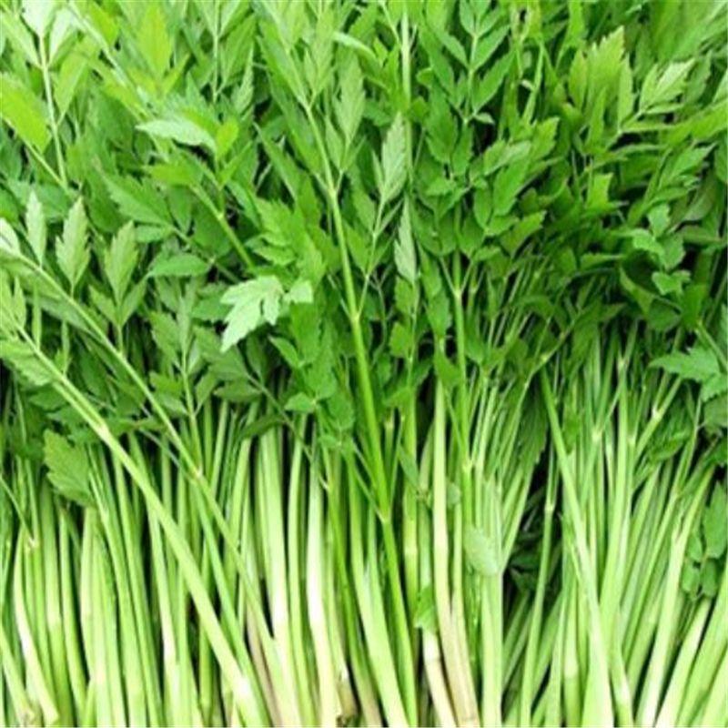 美食介绍:水芹菜