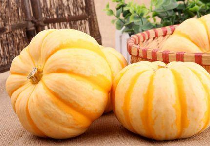 如何栽培袖珍南瓜 知乎