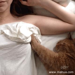 踩奶猫咪最原始的温柔和最后的倔强