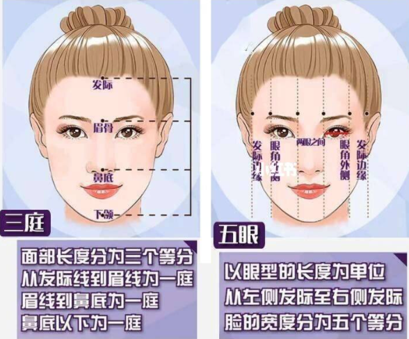 怎样判断发际线高不高? - 知乎