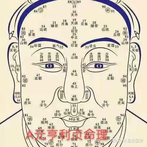 男人十种鼻型分类图图片