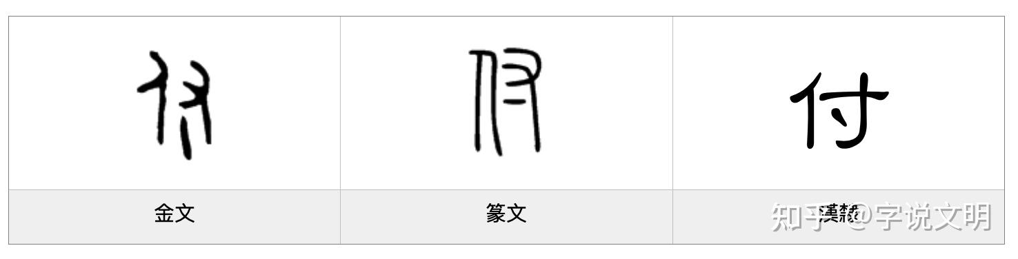 付——每日一字·寸部字 - 知乎